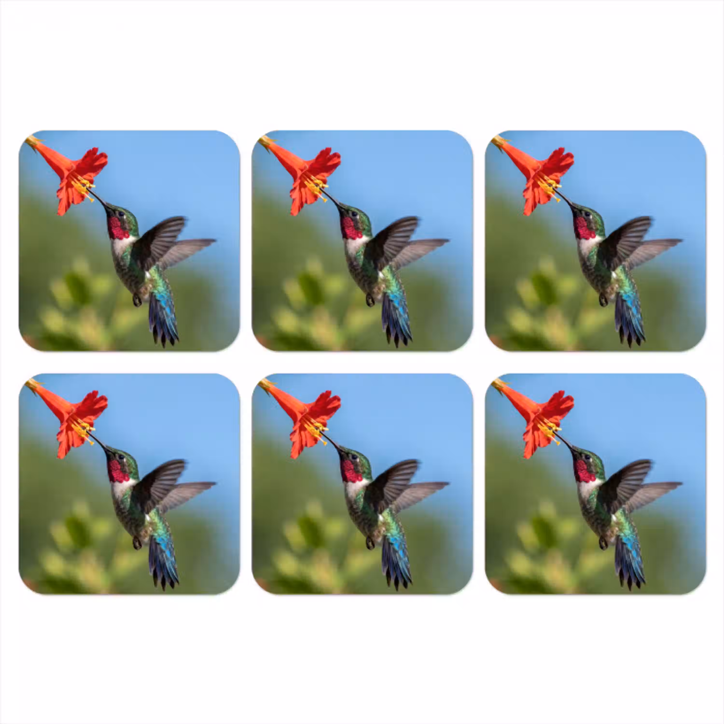 Kolibrie - Bloem - Natuur - Groen onderzetter kurk middel -3d