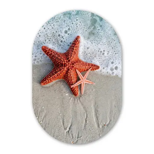 Zeester - Strand - Zee Wandcirkel Ovaal Forex klein -3d