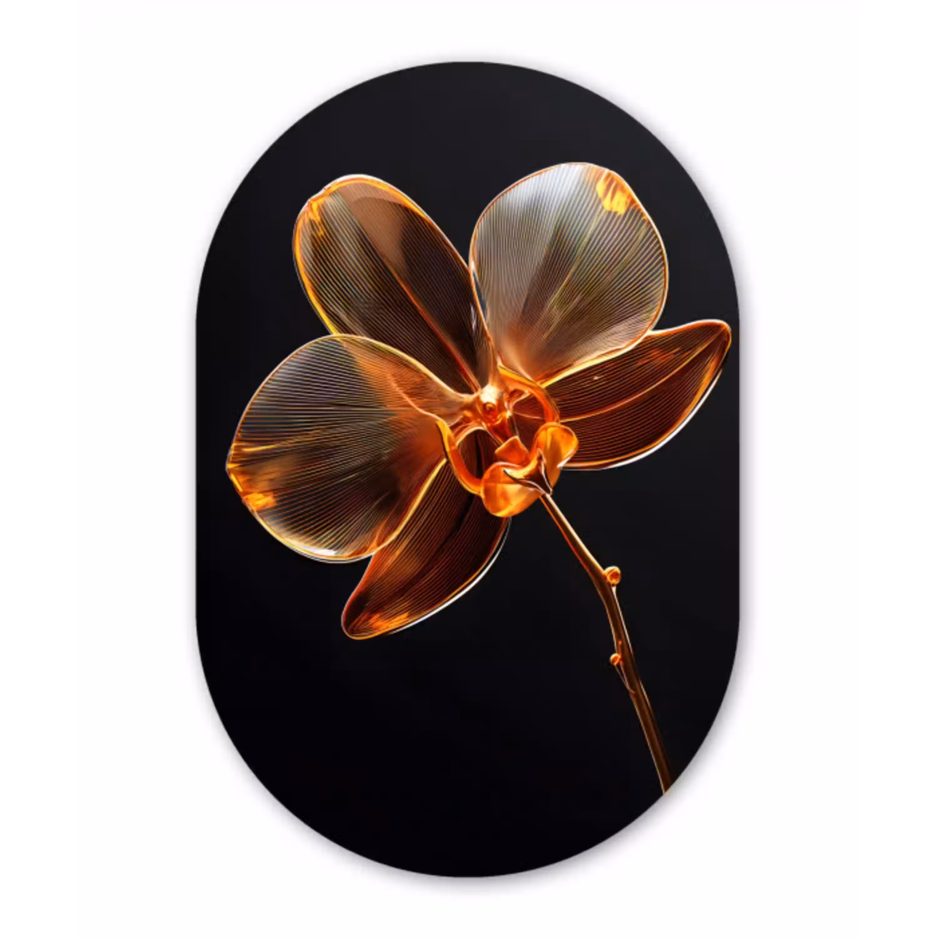 Orchidee - Doorzichtig - Bloem Wandcirkel Ovaal Aluminium middel -3d
