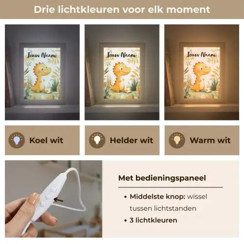 Dino - Voetbal - Oranje Light Box met kabel (Kinderlampje) klein -USP_lichtkleurNL