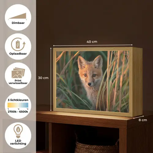 Vos - Oranje - Gras Light Box met batterij (Wandlamp) middel -USP_websiteoverzichtNL