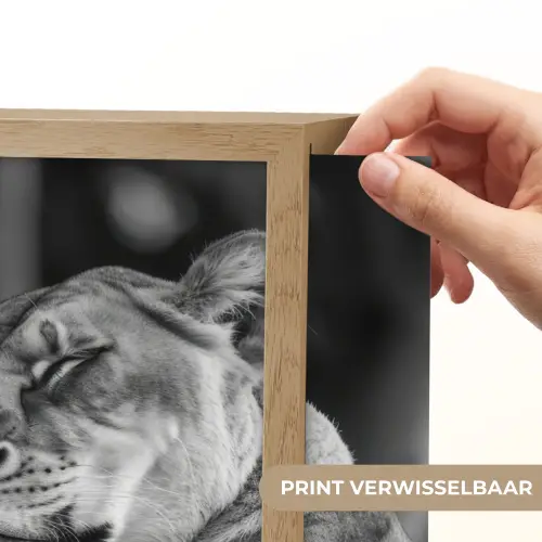 Leeuwen - Dieren - Zwart - Wit - Leeuw Light Box met batterij (Wandlamp) middel -USP_websiteprintNL