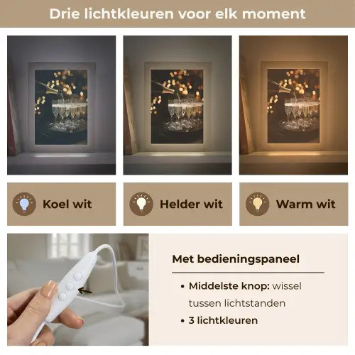 Lichtjes - Champagne - Dienblad - Glazen Light Box met kabel (Tafellamp) klein -USP_lichtkleurNL