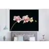 Orchidee - Bloemen - Zwart - Roze - Knoppen forex 5mm xxl -slaapkamer