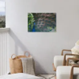 Vogel - Pauw - Veren tuinposter los doek klein -sfeer8