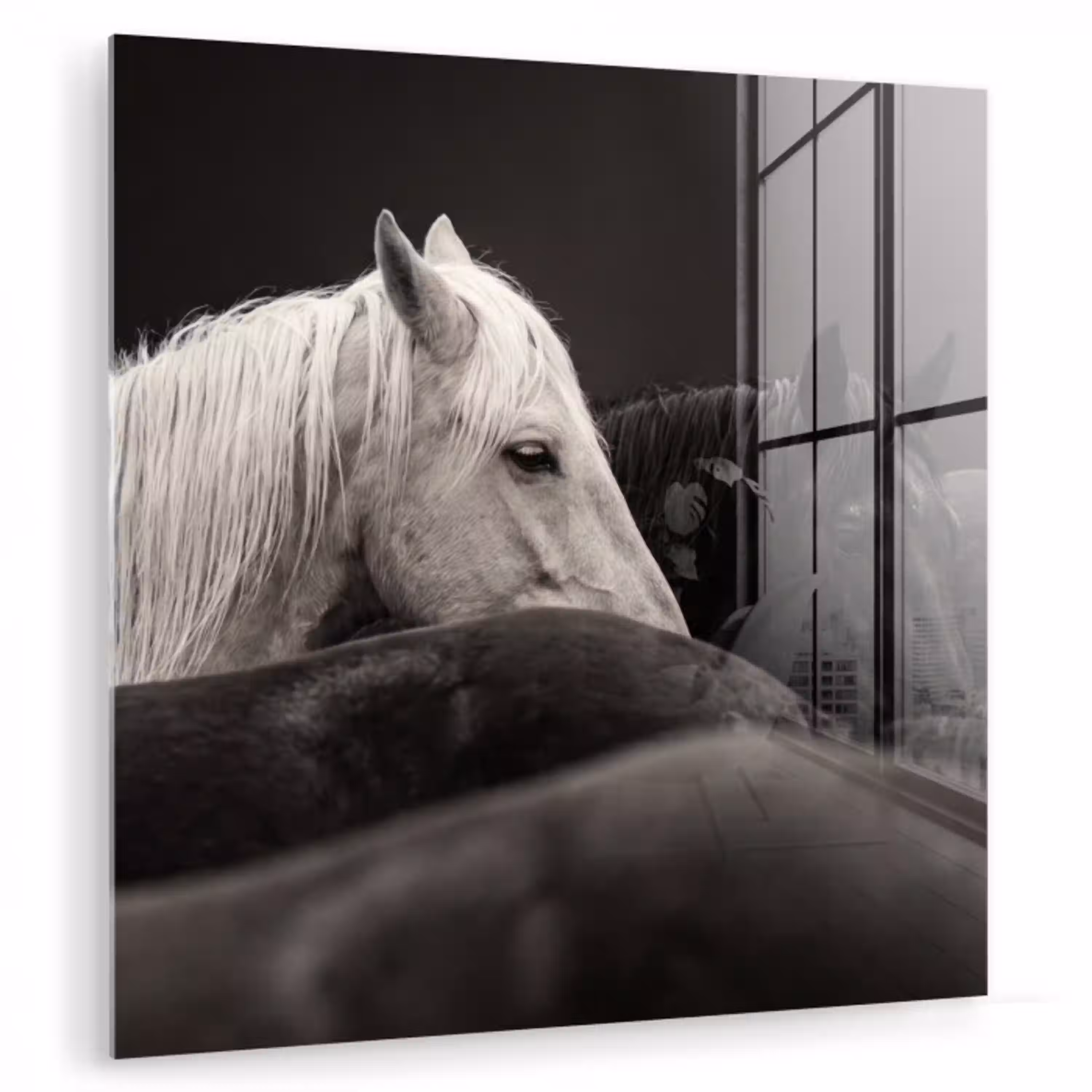 Paarden - Zwart - Wit - Kudde plexiglas 5mm klein -zzzproduct_nieuw