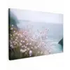 Klif - Bloemen - Zee - Roze canvas 2cm klein -z3d