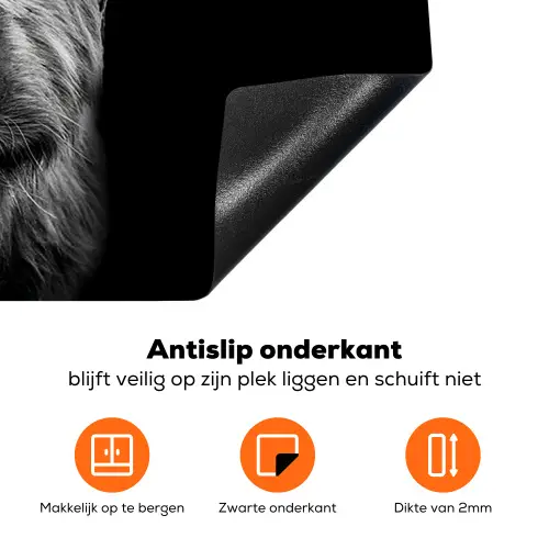 Schotse Hooglander - Horens - Zwart - Wit - Koe - Wild - Dieren Inductie beschermer vinyl 3mm klein -zzzzzzz-td-onderkant