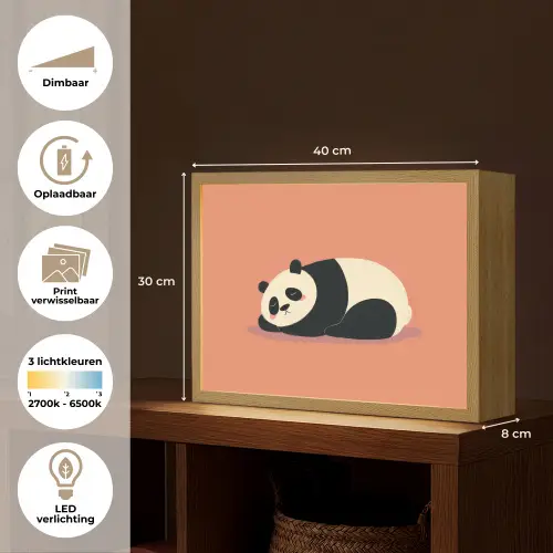Panda - Slaap - Oranje Light Box met batterij (Wandlamp kind) middel -USP_websiteoverzichtNL