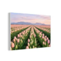 Tulpen - Landschap - Roze forex 5mm xxl -3d