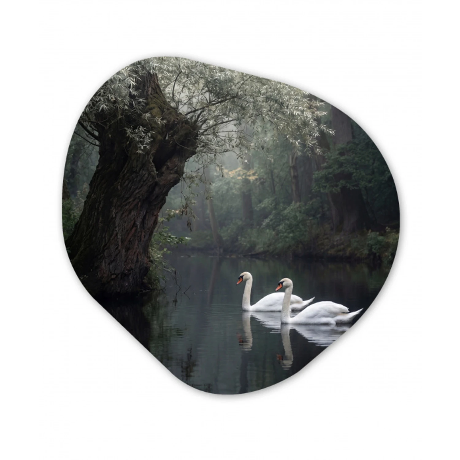 Zwanen - Rivier - Bos Wandcirkel Organisch Aluminium middel -3d