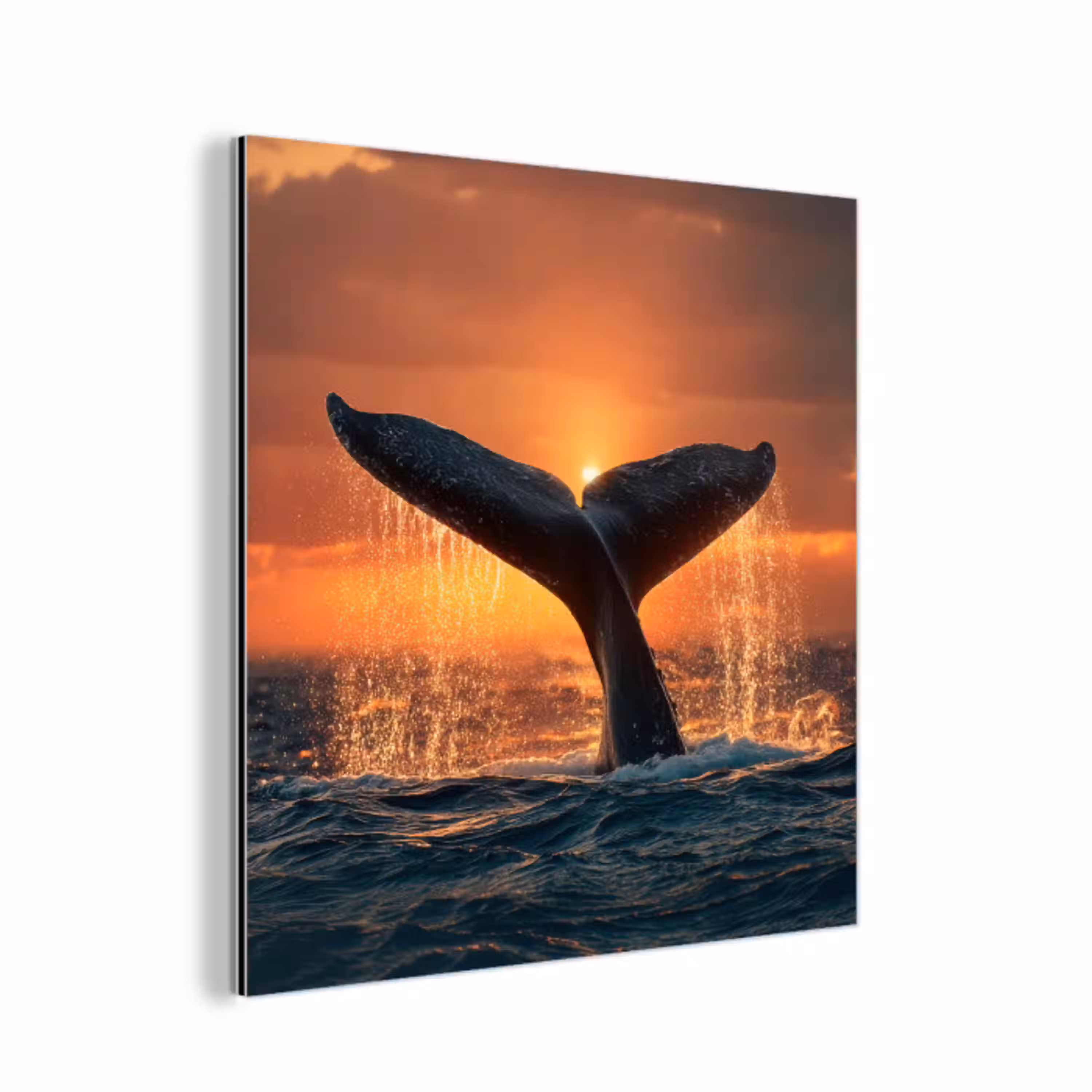 Walvis staart - Water - Zonsondergang aluminium wit klein -3d