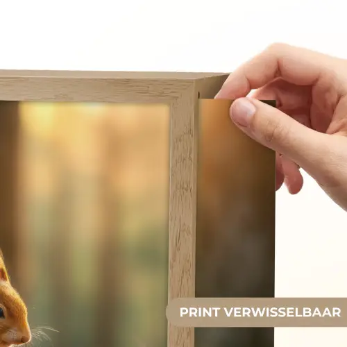 Eekhoorn - Nootje - Gras Light Box met batterij (Wandlamp) middel -USP_websiteprintNL