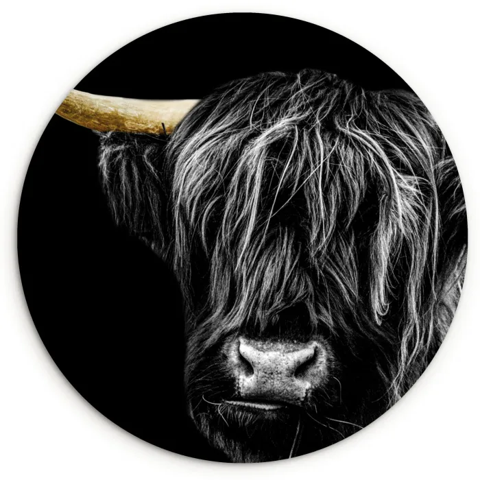 Schotse hooglander - Goud - Vacht - Dieren - Koe Wandcirkel kunststof plaat 5mm dik klein -3d