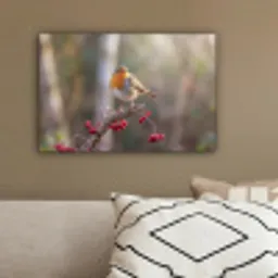Roodborst - Tak - Bessen - Natuur canvas 2cm klein -sfeer3