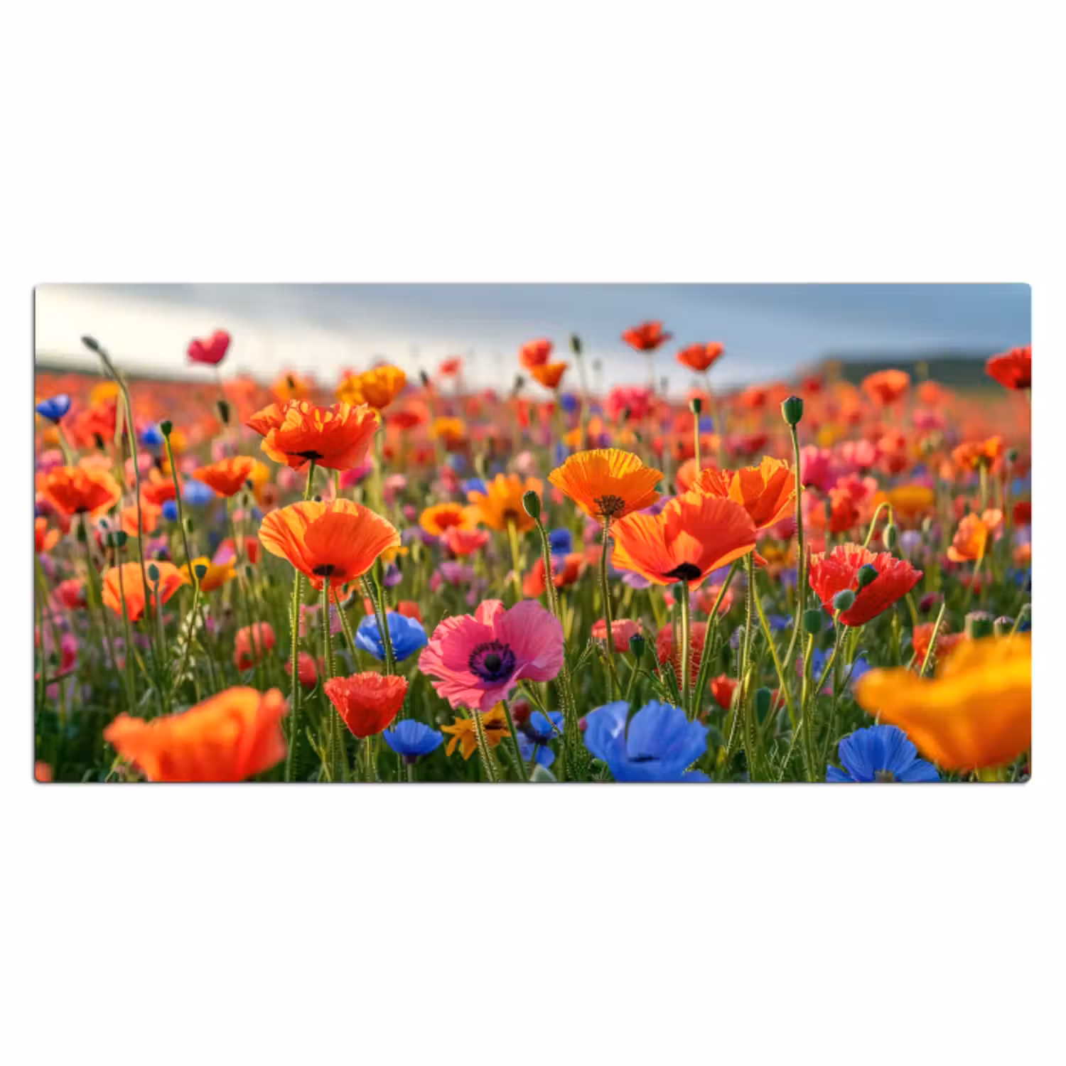 Bureau onderlegger - bloemen-klaprozen-kleurrijk-natuur