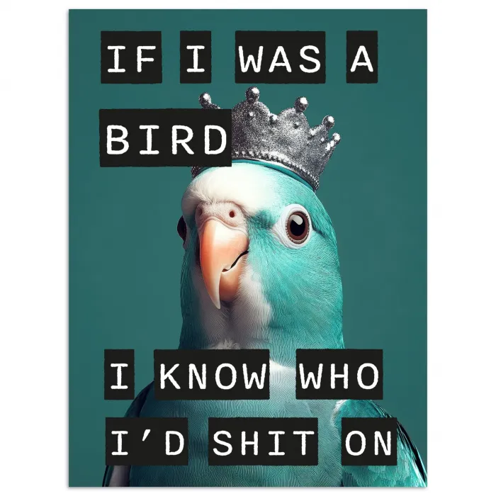 Parkiet - Turquoise - Quotes - Decoratie poster papier klein -3d