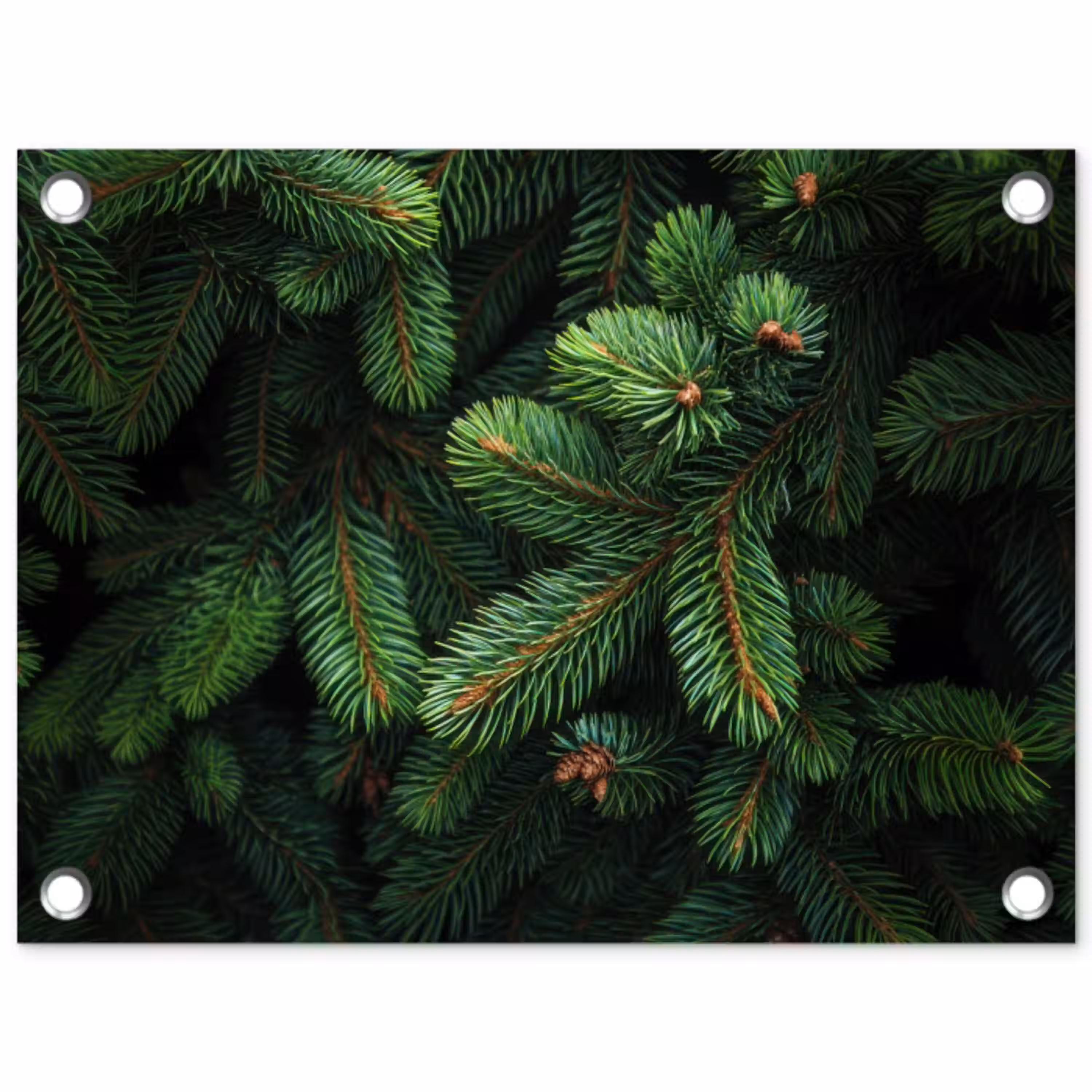 Sparrentakken - Knoppen - Naalden - Groen tuinposter los doek klein -3d