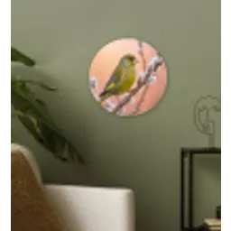 Groenling - Katjes - Lente - Natuur - Zacht Wandcirkel kunststof plaat 5mm dik klein -sfeer3
