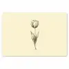 Illustratie - Tulp - Zwart Placemat vinyl groot -zzsfeer1_Kitchenyeah-website