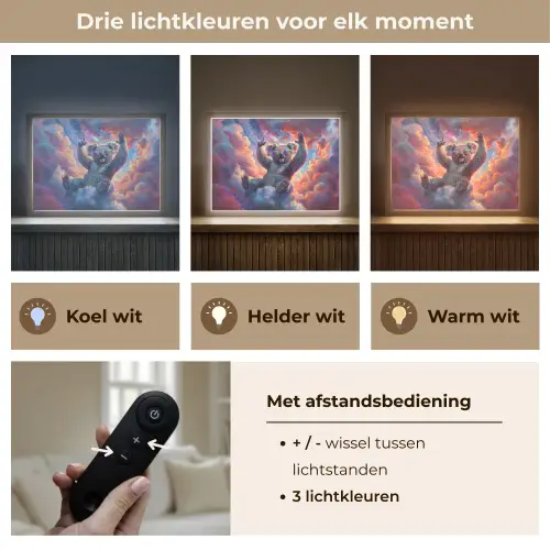 Koala - Dier - Zonnebril - Wolken Light Box met batterij (Wandlamp kind) middel -USP_lichtkleurNL