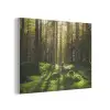 Bomen - Bos - Mos - Planten - Zon - Natuur PET vilt klein -3d