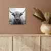 Schotse hooglander - Mist - Zwart - Wit plexiglas 5mm klein -sfeer5
