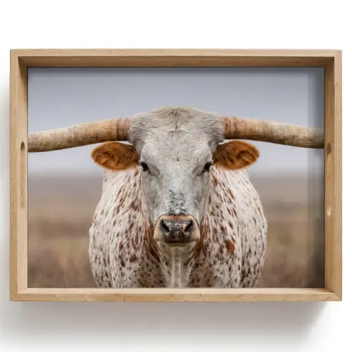 Longhorn - Grasveld - Dier Dienblad Rechthoek middel -z3d_shopping