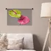 Planten - Anthurium - Groen - Roze Wandkleed katoen klein -sfeer4