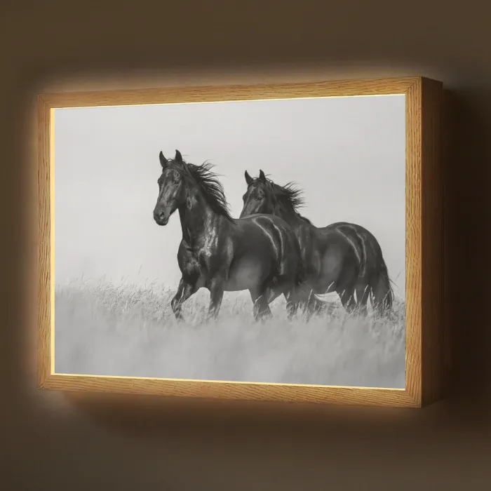 Paarden - Gras - Zwart - Wit Light Box met batterij (Wandlamp) middel -z3d_website