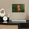 Bloem - Gladiolen - Zalmroze poster papier klein -sfeer1