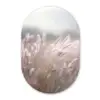 Graspluimen - Wind - Beige - Mistig Wandcirkel Ovaal Glas middel -3d