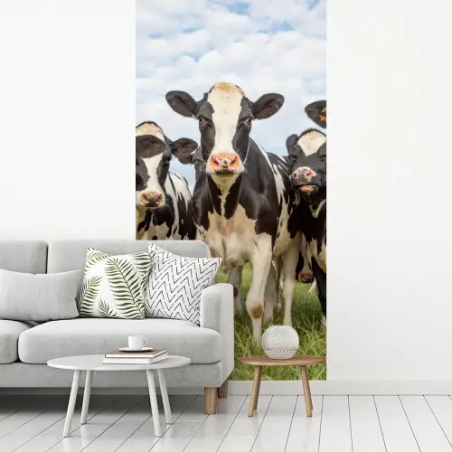 Koeien - Weiland - Dieren - Natuur - Gras fotobehang vinyl groot -woonkamer