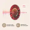 Close up - Bloem - Quote - Rood Akoestische PET Vilt - Rond klein -USP_NL