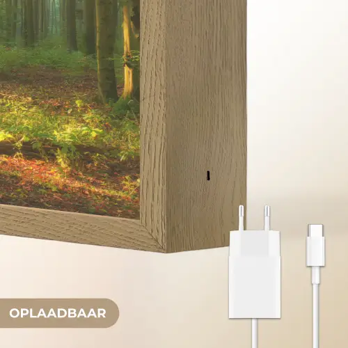 Zon - Bos - Bomen - Natuur - Herfst Light Box met batterij (Wandlamp) middel -USP_websiteoplaadbaarNL