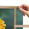 Bloemblaadjes - Afrikaan - Oranje - Wazig Light Box met batterij (Wandlamp) middel -USP_websiteprintNL