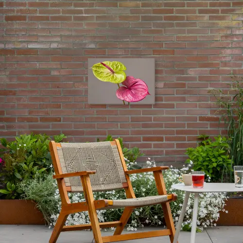 Planten - Anthurium - Groen - Roze Tuinposter op houten frame 2 cm dik klein -sfeer3
