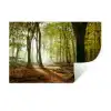 Bos - Zon - Seizoenen - Landschap Muursticker klein -3d