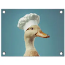 Eend - Koksmuts - Cute - Vogel tuinposter los doek klein -3d