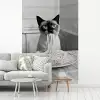 Kat - Siamees - Zwart Wit - Schattig - Dieren fotobehang vinyl groot -woonkamer