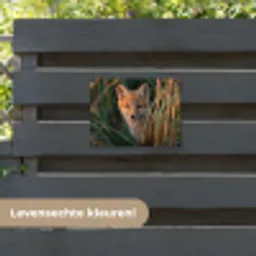 Vos - Oranje - Gras tuinposter los doek klein -sfeer3