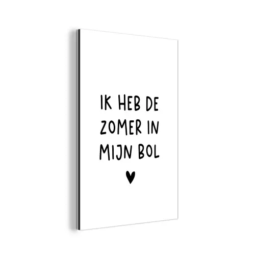 Quotes - Spreuken - André Hazes - Ik heb de zomer in mijn bol aluminium wit klein -3d