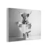 WC - Toilet - Krant - Schotse Hooglander - Zwart Wit PET vilt klein -3d