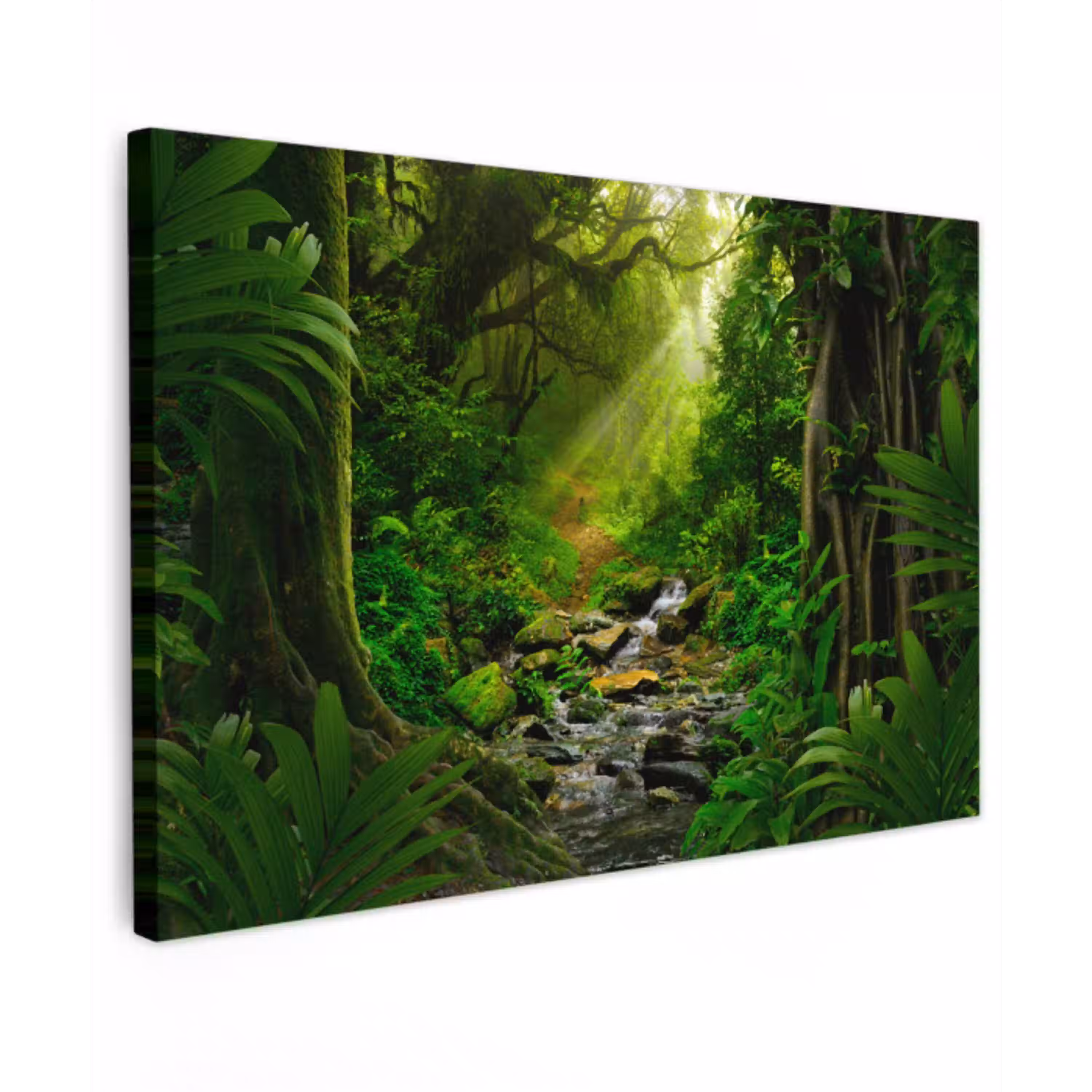 Jungle - Water - Bladeren - Zon - Natuur Tuinposter op houten frame 2 cm dik klein -3d