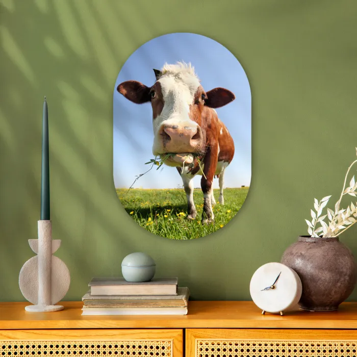 Koe - Dieren - Bloemen - Gras Wandcirkel Ovaal Forex klein -sfeer2