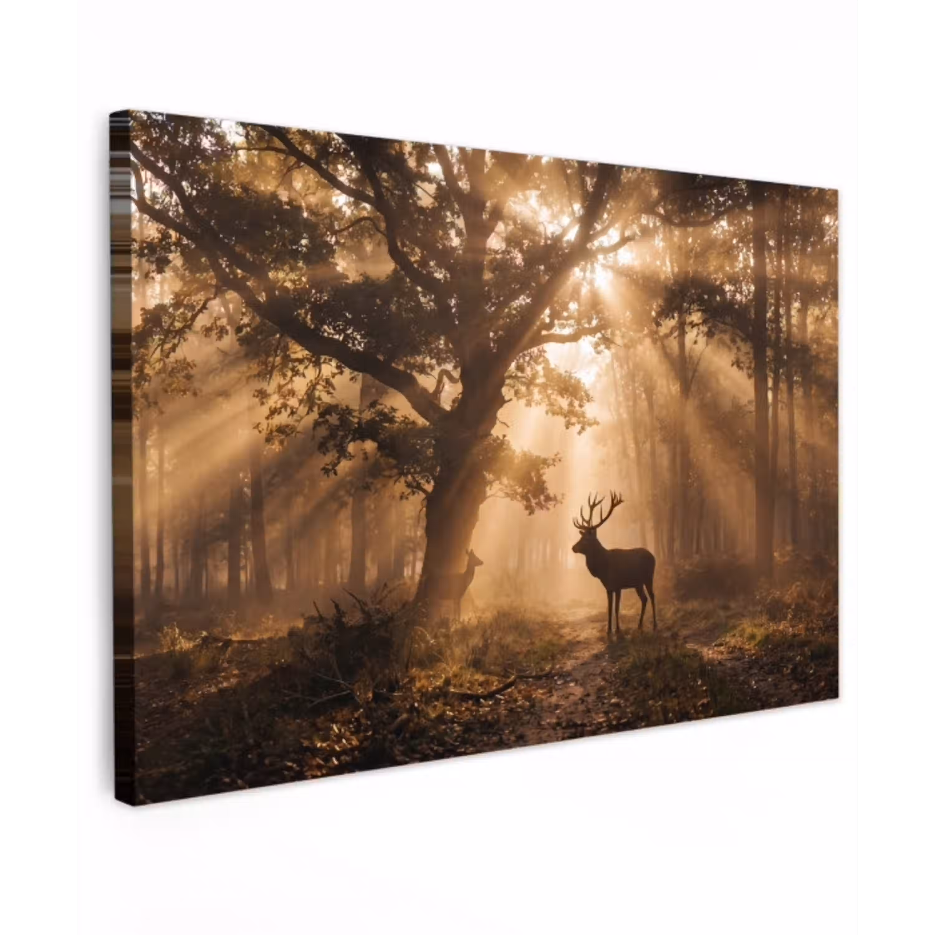 Hert - Bos - Mistig - Natuur - Goud canvas 2cm klein -z3d