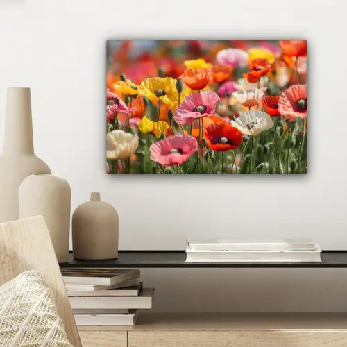 Bloemenveld - Klaprozen - Kleurrijk canvas 2cm klein -sfeer6