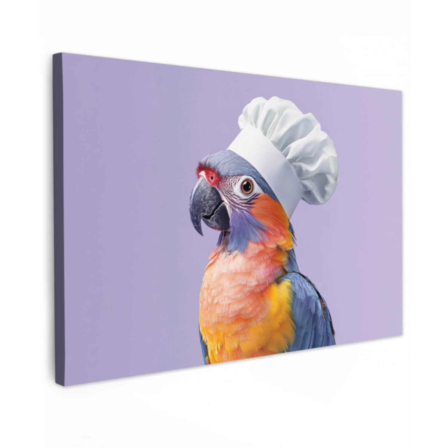 Papegaai - Koksmuts - Paars - Cute Tuinposter op houten frame 2 cm dik klein -3d