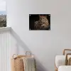 Wilde dieren - Panter - Portret - Zwart - Dieren tuinposter los doek klein -sfeer8