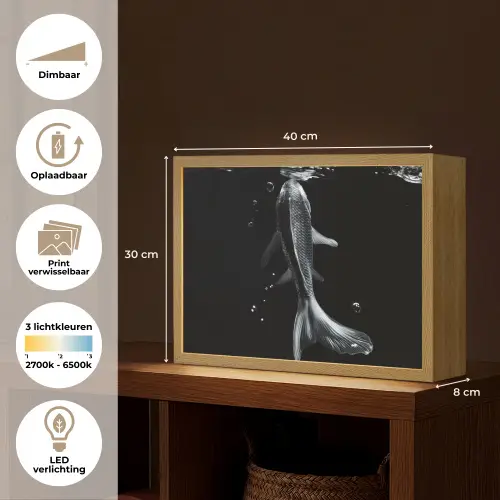 Koi - Vissen - Water - Zwart Light Box met batterij (Wandlamp) middel -USP_websiteoverzichtNL